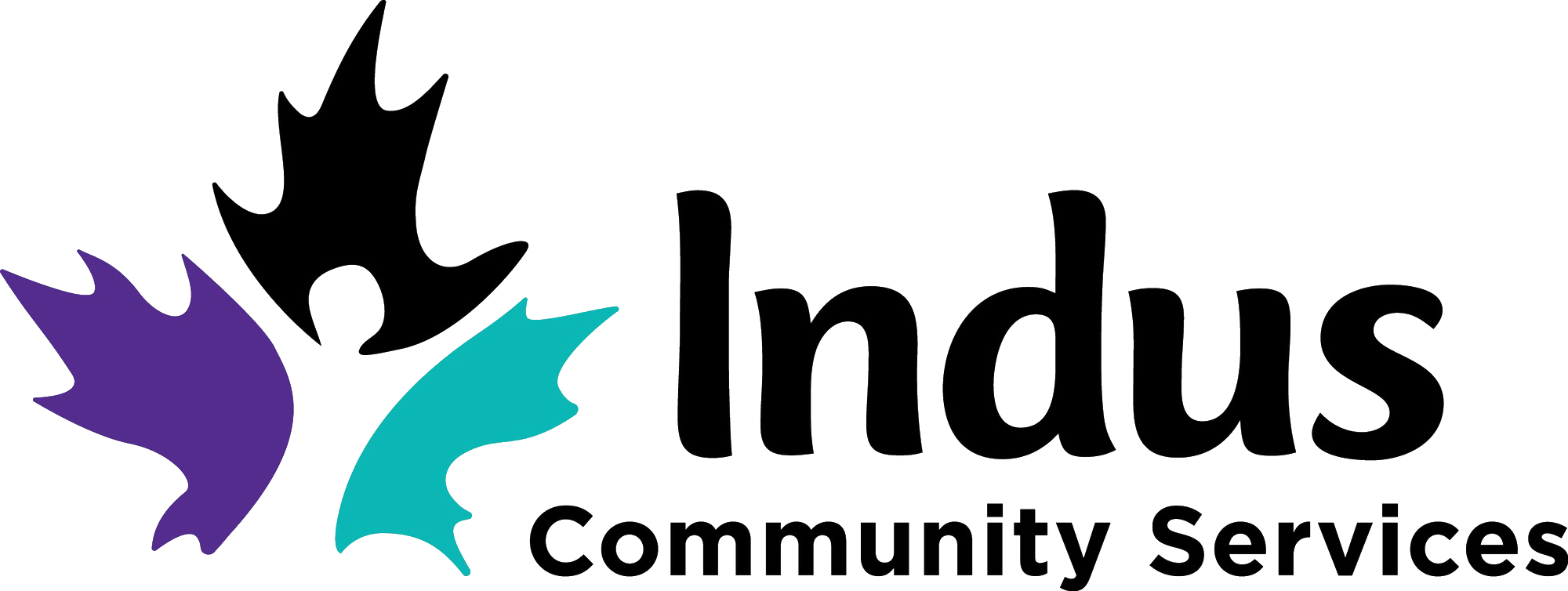 Indus Community